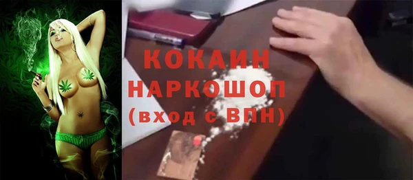 спайс Няндома