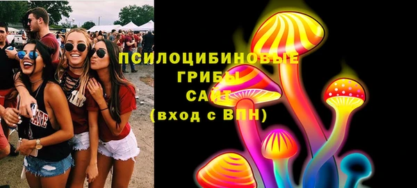 спайс Няндома