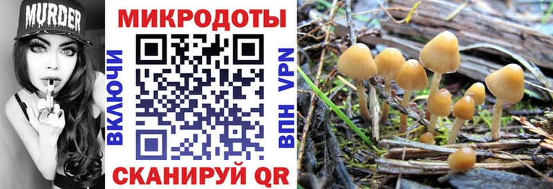 Галлюциногенные грибы мухоморы  дарнет шоп  Устюжна 